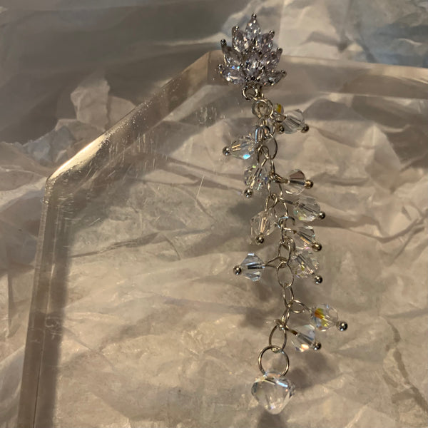 Crystal Earrings